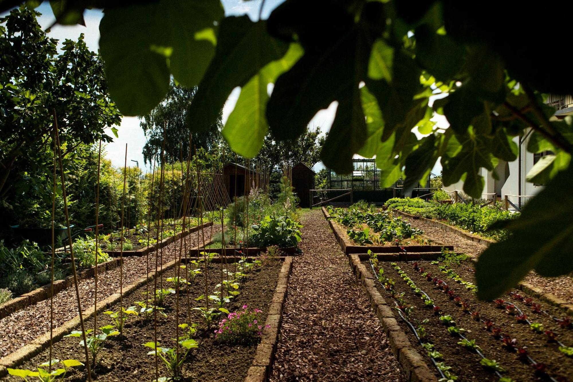 Coltivare Agrirelais La Morra Kültér fotó